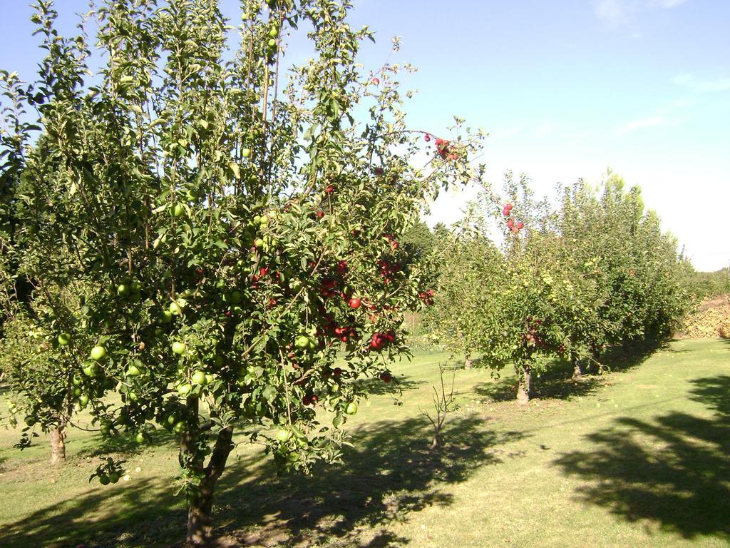 Gite La Gourmandine Saint-Andiol ภายนอก รูปภาพ
